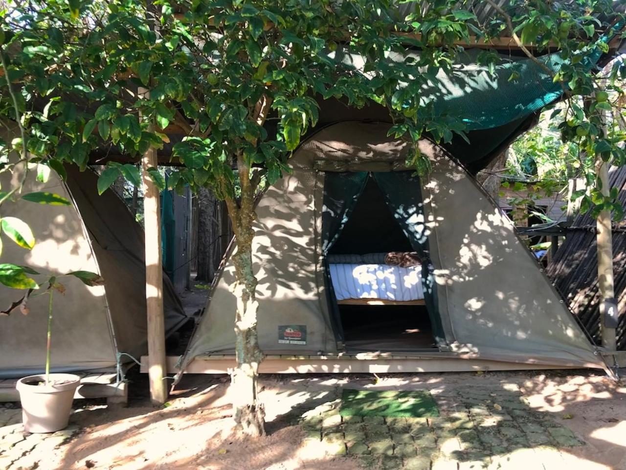 קניסנה The Riverdeck Accommodation And Backpackers מראה חיצוני תמונה