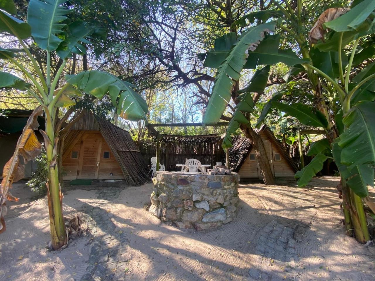 קניסנה The Riverdeck Accommodation And Backpackers מראה חיצוני תמונה