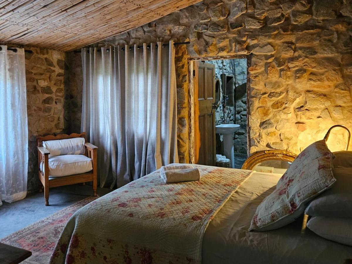 קניסנה The Riverdeck Accommodation And Backpackers מראה חיצוני תמונה