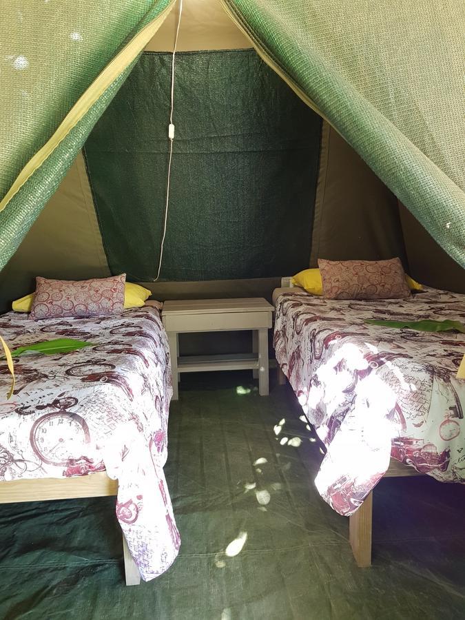 קניסנה The Riverdeck Accommodation And Backpackers מראה חיצוני תמונה