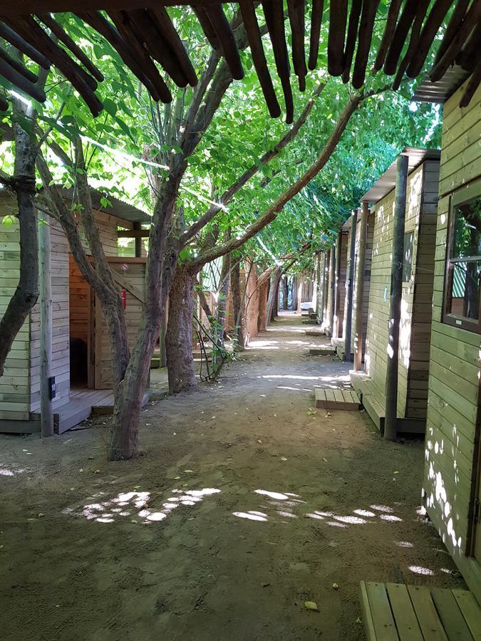 קניסנה The Riverdeck Accommodation And Backpackers מראה חיצוני תמונה