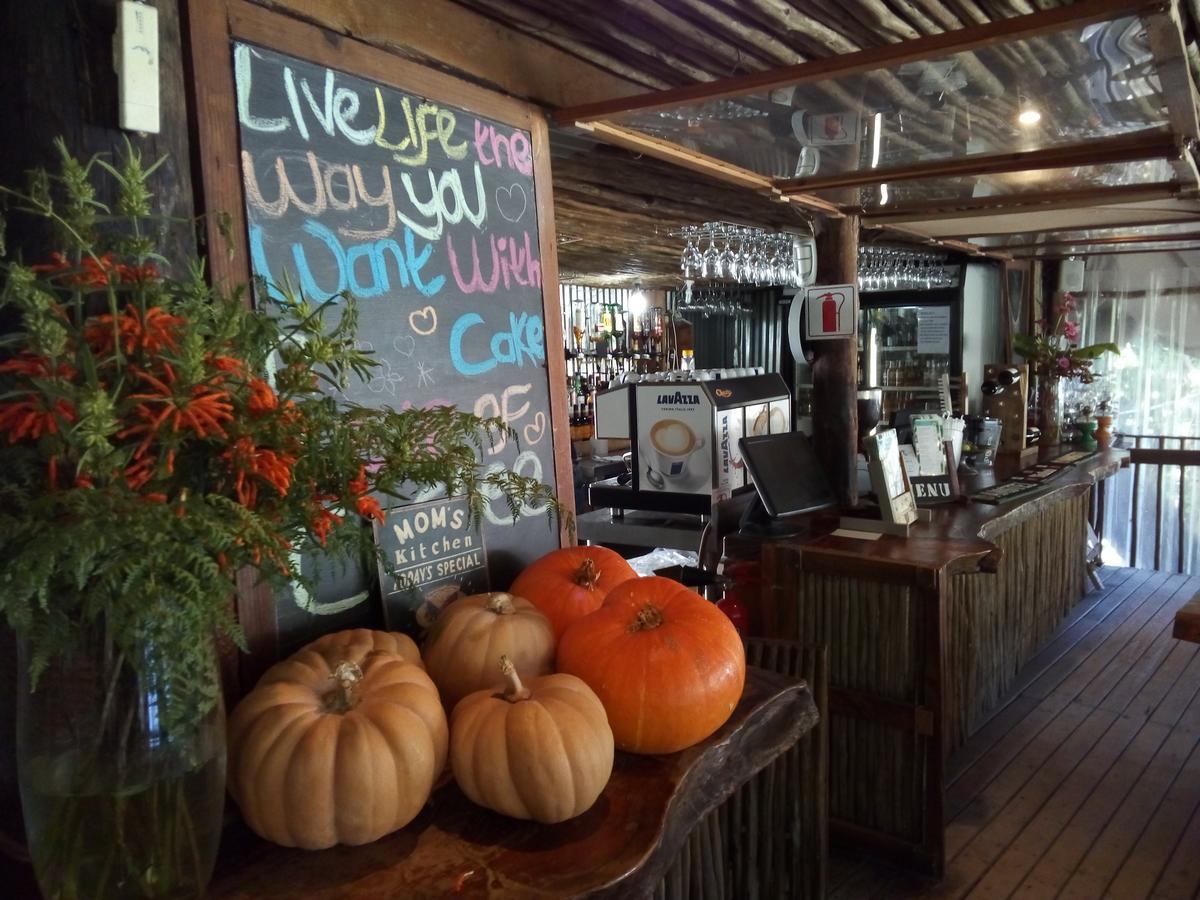 קניסנה The Riverdeck Accommodation And Backpackers מראה חיצוני תמונה